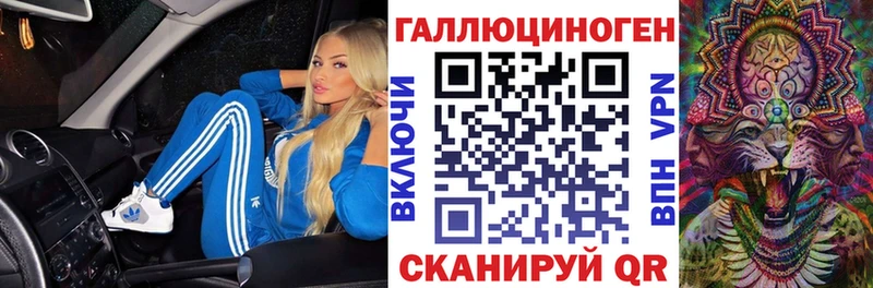 darknet телеграм  Киренск  Псилоцибиновые грибы Cubensis  МЕГА ONION 